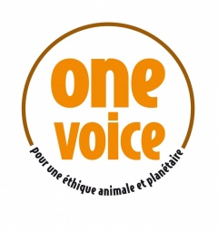 Label One Voice : logo label One Voice